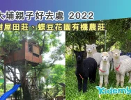 608大埔親子好去處-2022