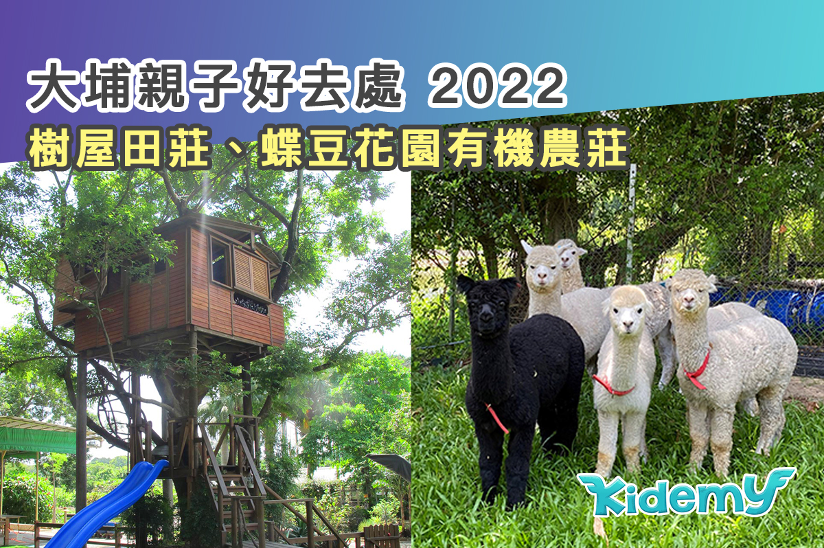 大埔親子好去處 2022 (樹屋田莊 + 蝶豆花園有機農莊)