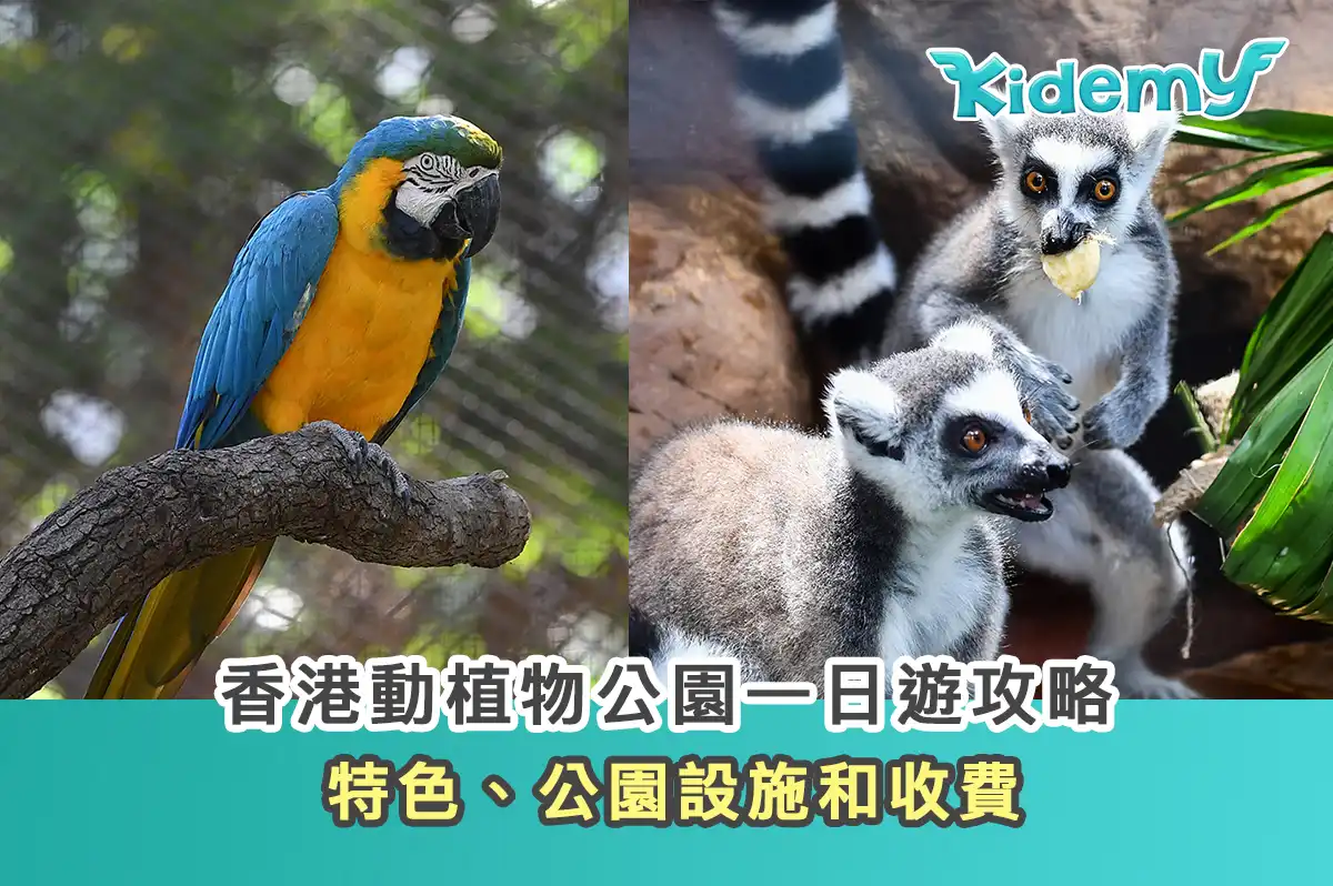 香港動植物公園一日遊攻略