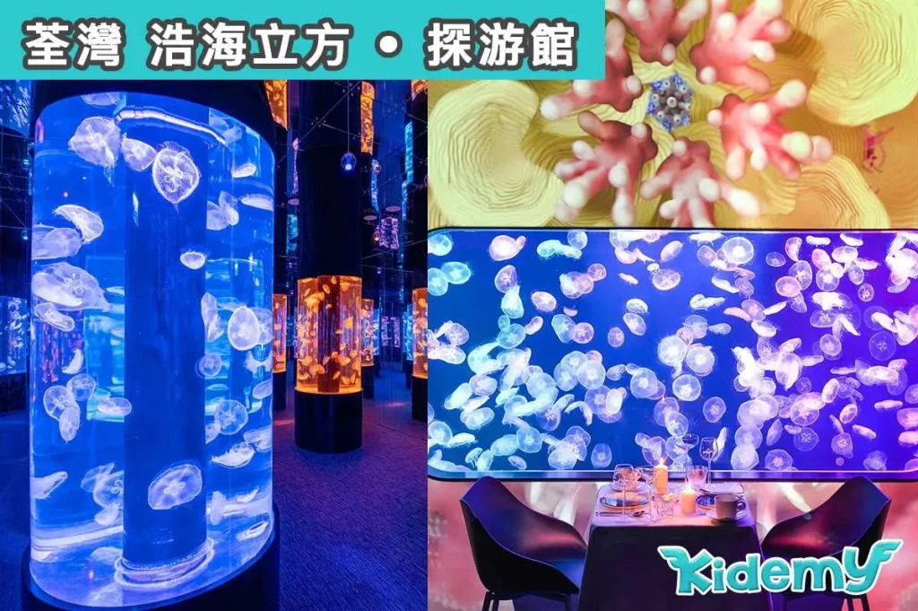 荃灣親子好去處