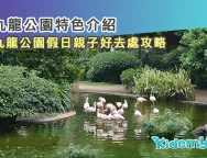 0717九龍公園
