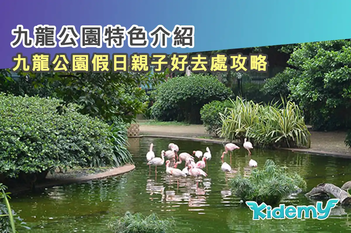 九龍公園景點介紹 — 尖沙咀假日親子好去處攻略