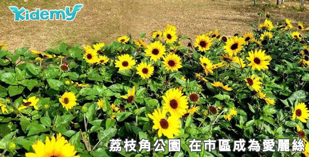 荔枝角公園